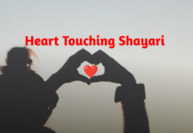 Top Heart Touching Love Shayari In Hindi