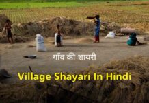 рдЧрд╛рдБрд╡ рдкрд░ рд╢рд╛рдпрд░реА – Best Village Life In Hindi Shayari