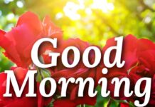 40+ Latest Good Morning Shayari In Hindi | गुड मॉर्निंग शायरी
